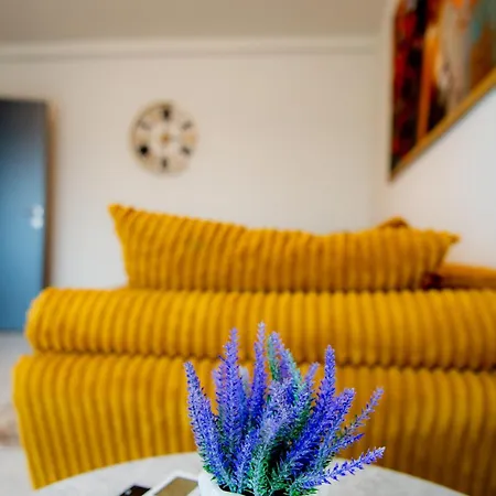 The Cozy Nest *